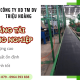 Triệu Hoàng chuyên cung cấp băng tải công nghiệp uy tín chất lượng cao
